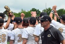 PREP BASEBALL PLAYOFFS: Cullman falls to Pell City in round 2