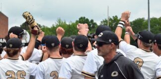 PREP BASEBALL PLAYOFFS: Cullman falls to Pell City in round 2