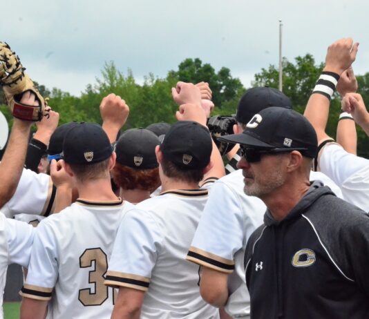 PREP BASEBALL PLAYOFFS: Cullman falls to Pell City in round 2