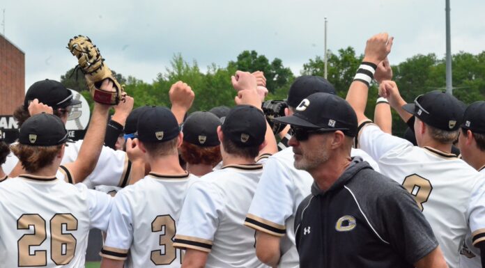 PREP BASEBALL PLAYOFFS: Cullman falls to Pell City in round 2