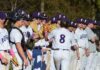 PREP BASEBALL: Fairview clinches playoff berth with 11-1 win at Brewer