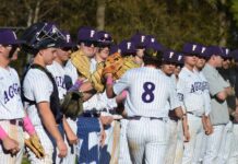 PREP BASEBALL: Fairview clinches playoff berth with 11-1 win at Brewer