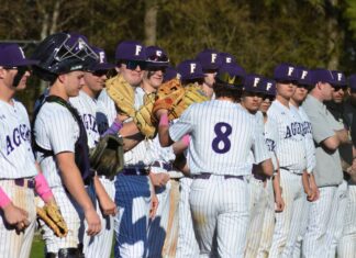 PREP BASEBALL: Fairview clinches playoff berth with 11-1 win at Brewer