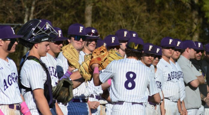 PREP BASEBALL: Fairview clinches playoff berth with 11-1 win at Brewer