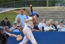 PREP BASEBALL PLAYOFFS: No. 3 Addison powers past Skyline to advance to round 2