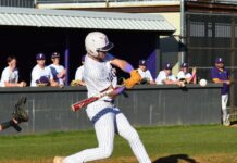 PREP BASEBALL: Fairview takes area series over Guntersville