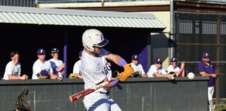 PREP BASEBALL: Fairview takes area series over Guntersville
