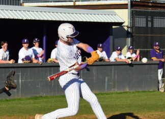 PREP BASEBALL: Fairview takes area series over Guntersville
