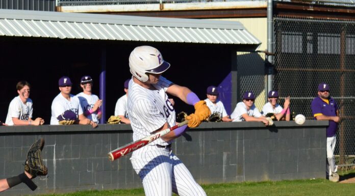 PREP BASEBALL: Fairview takes area series over Guntersville