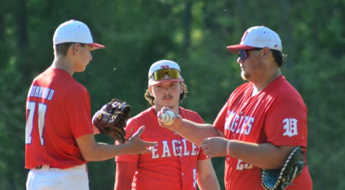 PREP BASEBALL PLAYOFFS: No. 7 Vinemont splits with Randolph County, game 3 set for Friday
