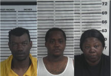 3 Birmingham residents charged with organized retail theft in Cullman