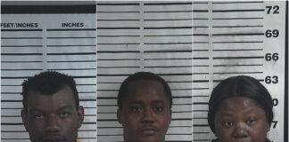3 Birmingham residents charged with organized retail theft in Cullman