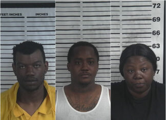 3 Birmingham residents charged with organized retail theft in Cullman