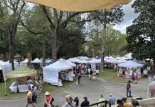 41st annual Bloomin’ Festival sees thousands; Sunday rained out