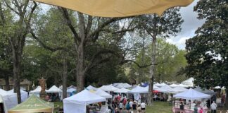41st annual Bloomin’ Festival sees thousands; Sunday rained out