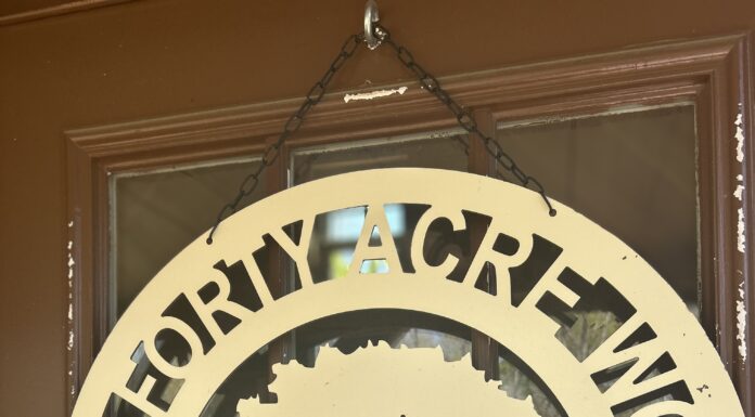 Local spotlight: The Forty Acre Wood