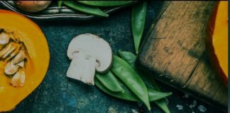 Alabama DHR announces new app for SNAP clients