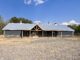 New business spotlight: Smith Lake Veterinary Hospital
