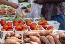 Extension experts share best practices for washing produce as farmers’ markets open across the state