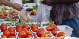 Extension experts share best practices for washing produce as farmers’ markets open across the state