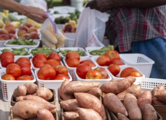 Extension experts share best practices for washing produce as farmers’ markets open across the state