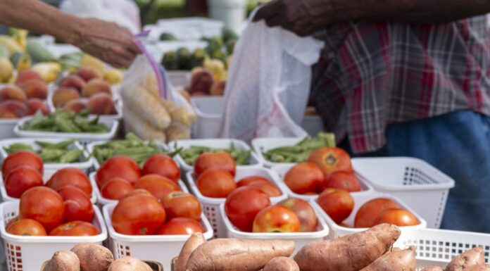 Extension experts share best practices for washing produce as farmers’ markets open across the state