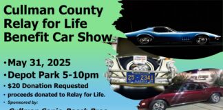 Cullman County Relay For Life Benefit Car Show set for May 31