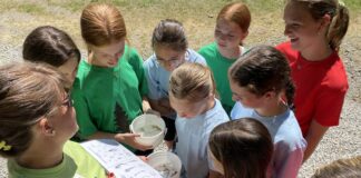 FAWN: 30 years of outdoor learning