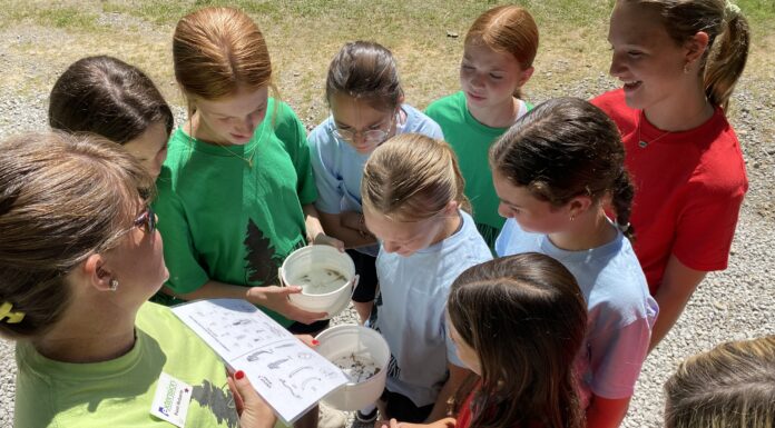 FAWN: 30 years of outdoor learning