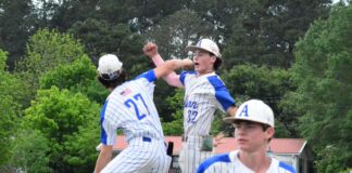 PREP BASEBALL PLAYOFFS: No. 3 Addison sweeps Lynn to advance to 1A semifinals