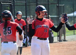 PREP SOFTBALL: Good Hope splits with Dora, Hamilton at North Regional