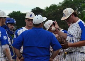 PREP BASEBALL PLAYOFFS: No. 3 Addison falls at No. 2 Hackleburg in 1A semifinals