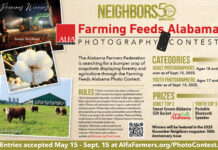 Federation calls for Farming Feeds Alabama Photo Contest entries