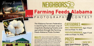 Federation calls for Farming Feeds Alabama Photo Contest entries