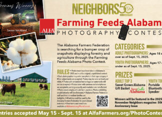 Federation calls for Farming Feeds Alabama Photo Contest entries