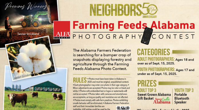 Federation calls for Farming Feeds Alabama Photo Contest entries