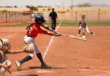 WSCC SOFTBALL: Lions split first 2 matchups at NJCAA World Series