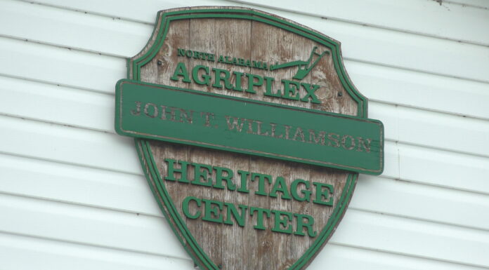 Learning farm life in real time