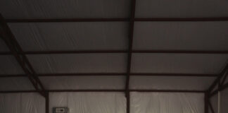 ‘Health is wealth and movement is medicine’