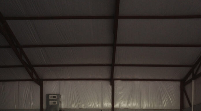 ‘Health is wealth and movement is medicine’