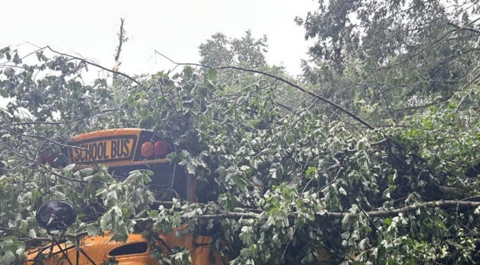 Cullman County Schools bus damaged in weekend storm