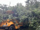 Cullman County Schools bus damaged in weekend storm