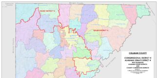 Navigating 2025 elections