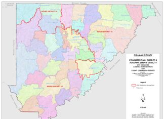 Navigating 2025 elections
