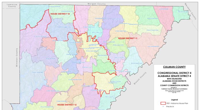 Navigating 2025 elections