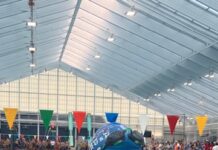 Cullman’s Lauren Hughes shines at Southeastern Championships