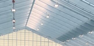 Cullman’s Lauren Hughes shines at Southeastern Championships