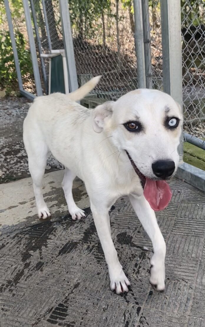 2311CD97-4131-4DE9-878D-0720C072D358