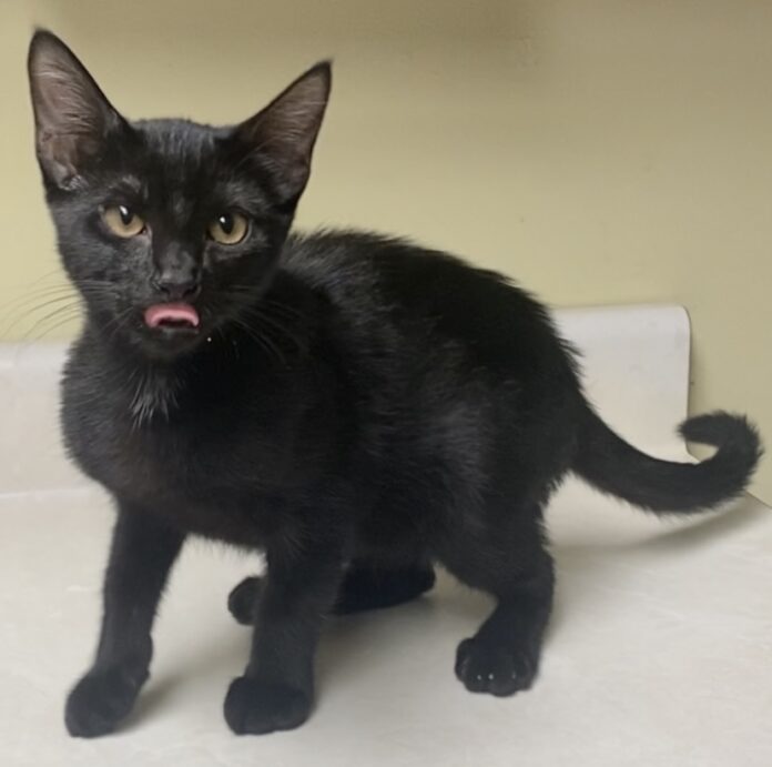 5CEE2691-220A-4F29-9C22-FA7EB67C3184