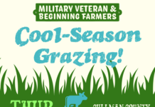 Free workshop to focus on fall and winter grazing strategies for livestock – Aug. 21
